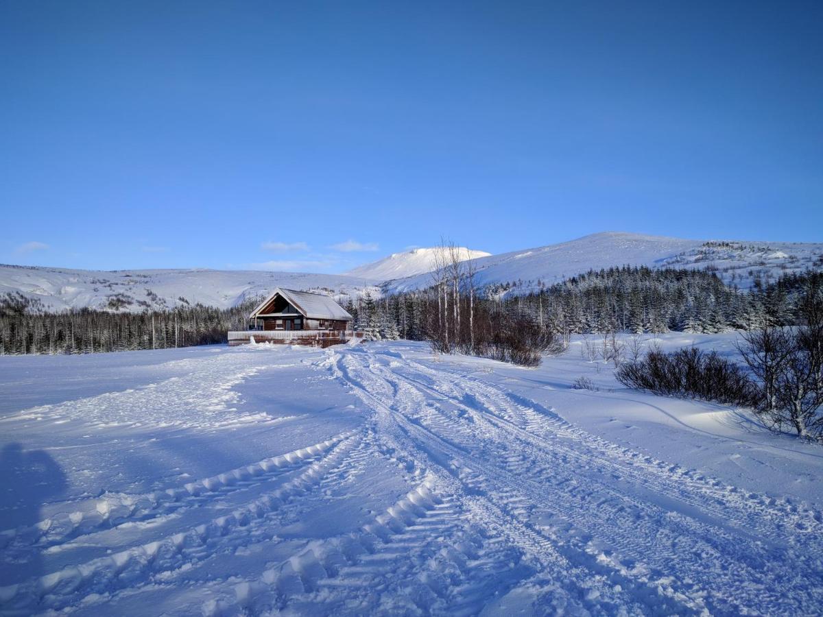 Gljúfurbústaðir Holiday Homes Hveragerdi Dış mekan fotoğraf